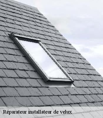 Réparateur installateur de velux