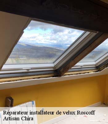 Réparateur installateur de velux